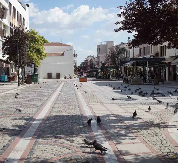 Edirne’de 40 derece sıcaklık hayatı durdurdu
