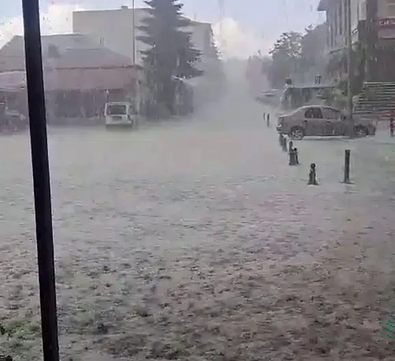 Kars Arpaçay'da dolu ve sel tarım arazilerini vurdu