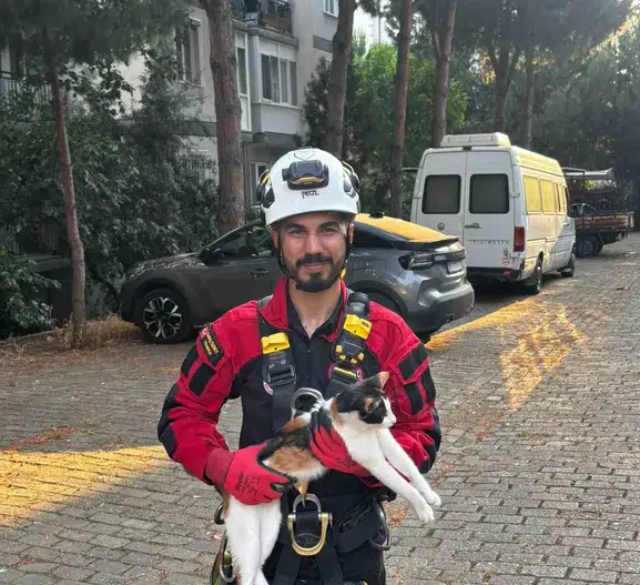 Aydın’da üç gün süren kedi kurtarma operasyonu mutlu bitti