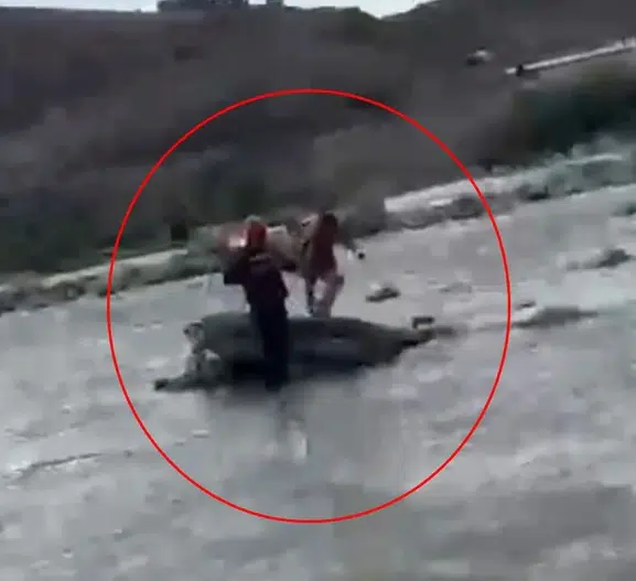 Kezer Çayı'nda yükselen sular çocuğu kayalara hapsetti