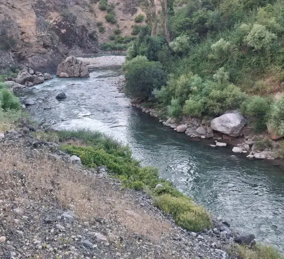 Bitlis'te serinlemek isteyen üç kardeşten biri hayatını kaybetti