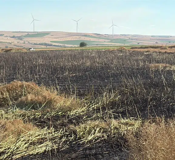 Tekirdağ'da hasat öncesi büyük yangın korkusu