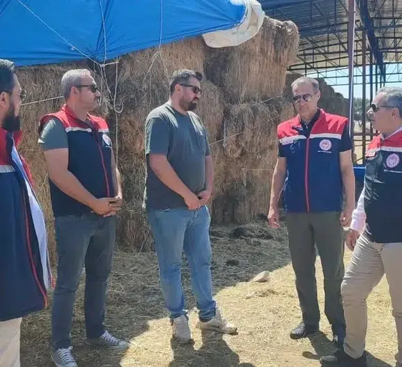 Aydınlı üreticiye devletten 30 düvelik hayvancılık desteği