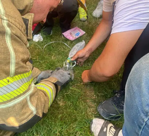 İnegöl'de yanan evdeki kedilere itfaiye ekipleri kalp masajı yaptı