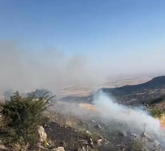 Diyarbakır Hazro'da 20 hektarlık alan yandı