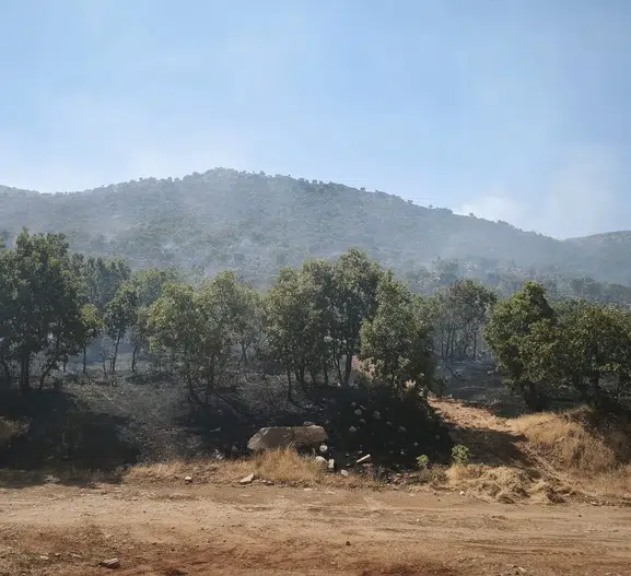 Çüngüş yaylalarında 80 dönümlük alan küle döndü