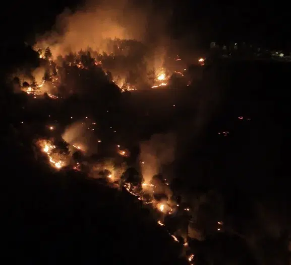 Adıyaman'daki orman yangınına sebep olan kişi tutuklandı