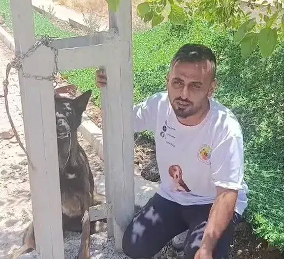 Hatay’da sahipli köpeğe vahşi saldırı