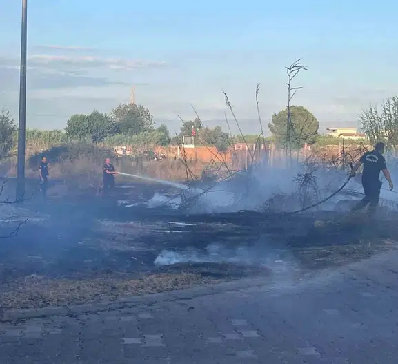 Aydın’da bir ağılı yangın küle çevirdi