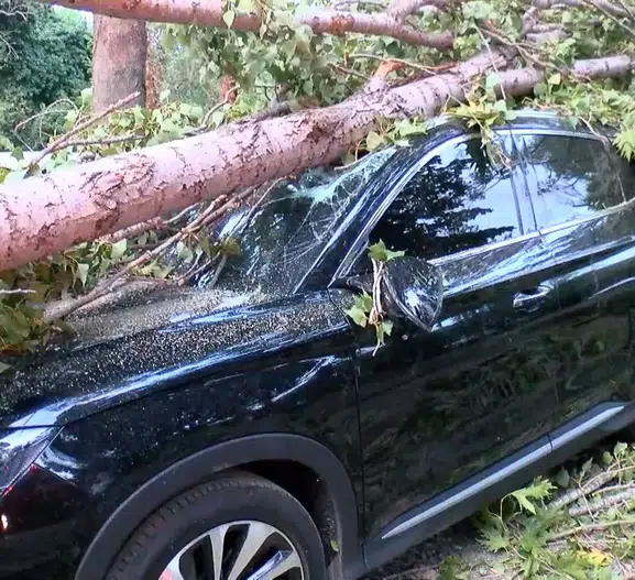 Beykoz'da fırtına bir aracı kullanılamaz hale getirdi