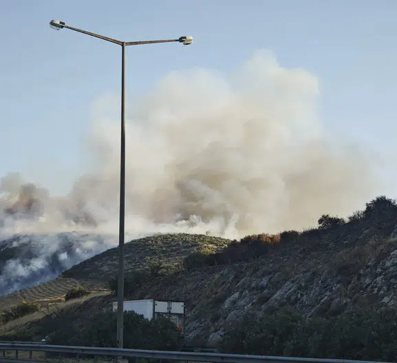 İzmir ormanlarında alevlerle mücadele sürüyor