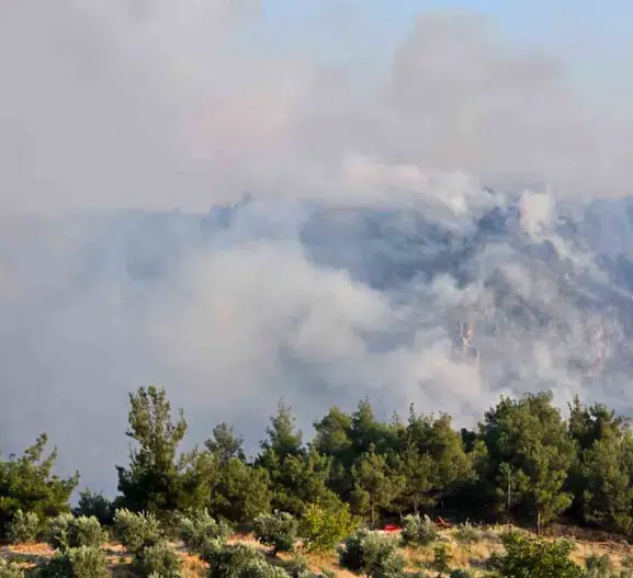 Pamukkale sınırındaki orman yangınında kritik aşama