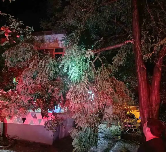 Erdek’te geceyi kabusa çeviren fırtına hayatı durdurdu