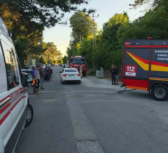 Ereğli’de piknik alanı yakınında çıkan yangın paniğe yol açtı