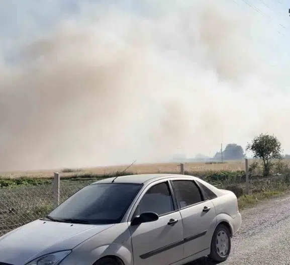 Çorum Yaydiğin köyünde yangın tarlaları küle çevirdi