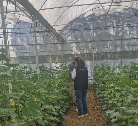 Uşaklı çiftçilerin tarlalarında zehirli madde denetimi başladı
