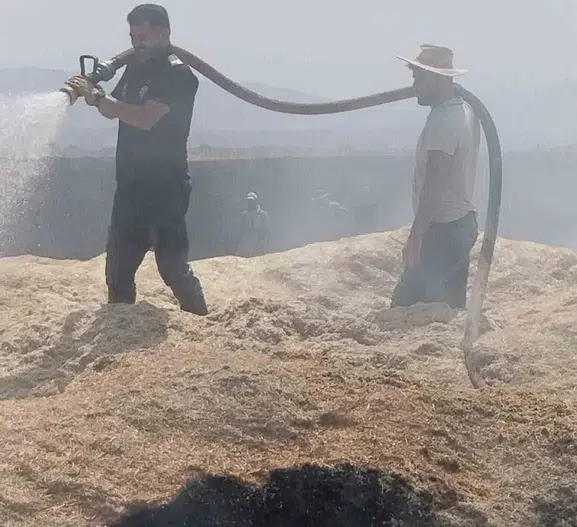Bingöl’de 2 bin dönüm arazi ve tonlarca saman küle döndü