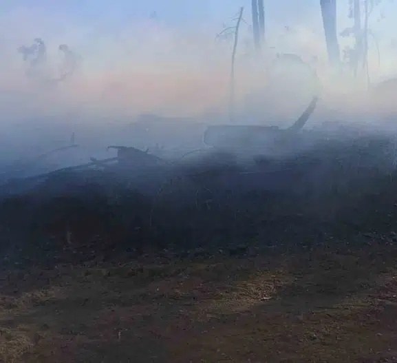 Karabük'te otomobil yangını ormana sıçramadan söndürüldü