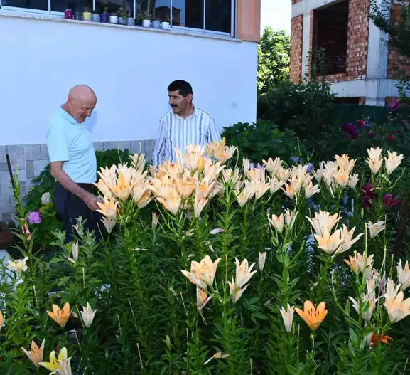 Emekli öğretmen evinin önünü dev bir çiçek bahçesine çevirdi