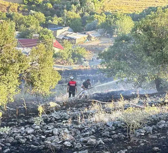Karakoçan'da korkutan otluk yangını büyümeden önlendi