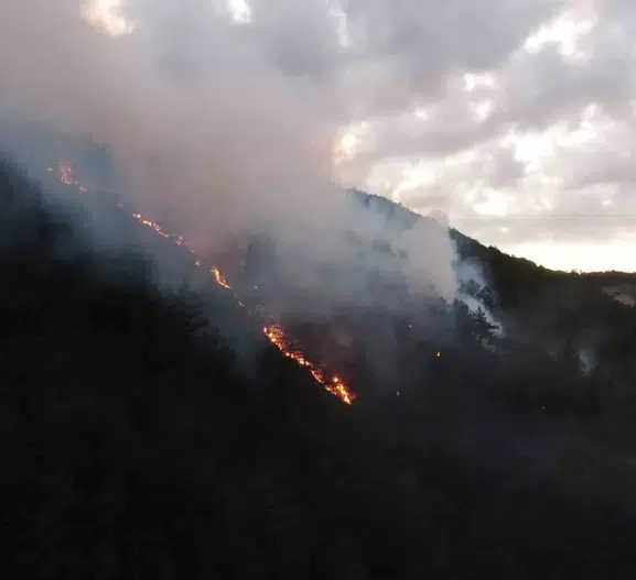 Kastamonu'da bir evde başlayan yangın ormana sıçradı