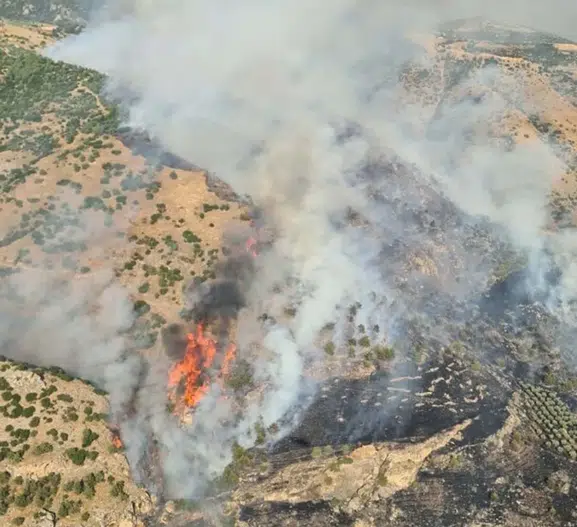Pamukkale travertenleri yakınında orman yangını paniği