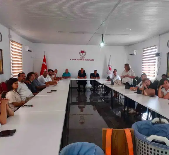 Hataylı üreticiye tarlada kayıpları önleme eğitimi