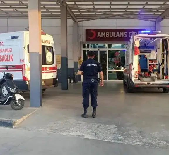 İncir bahçesinde domuz nöbeti acı bitti