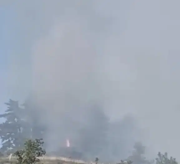 Düzce Yığılca'da orman yangını paniği büyümeden engellendi