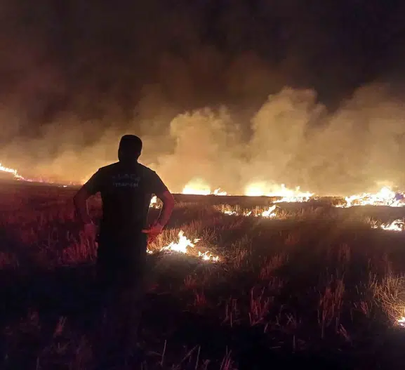 Alaca'da 7 köyün tarlalarında yangın, ekipler bölgede