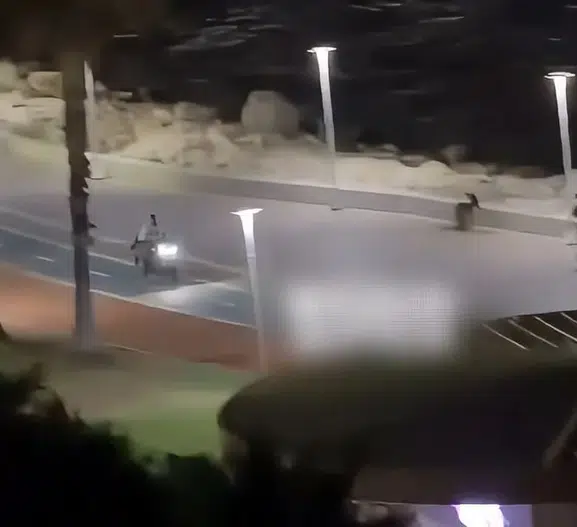 Mersin sahilinde motosiklet şovu yapan sürücüye ağır fatura