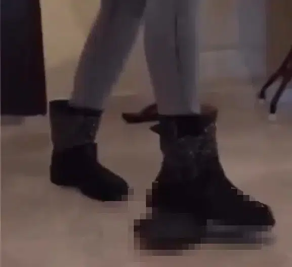 15 Yıl Önceki Kaplumbağa Videosu Sahibini Buldu, Polis Kapısını Çaldı
