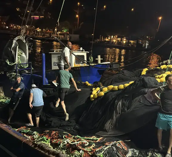Muğla'da denizlerin bereketi için düğmeye basıldı: 666 bin yavru balıkla yeni sezon heyecanı