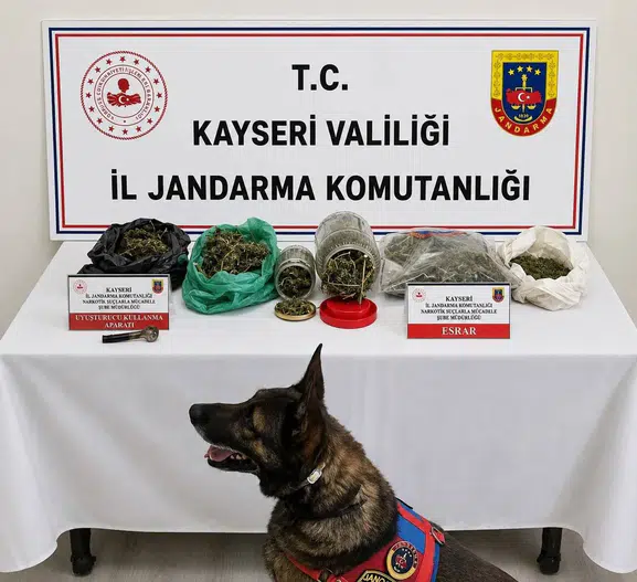 Yahyalı'da jandarma baskını: Adresinden cephanelik ve uyuşturucu çıktı