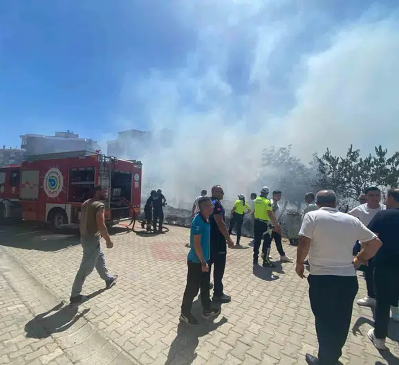 Çorlu'da ot yangını park halindeki araçları küle çevirdi