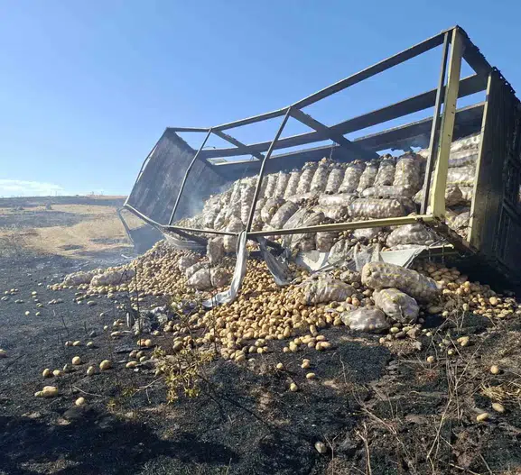 Patates yüklü kamyon yokuşta alev aldı, yangın otlara sıçradı