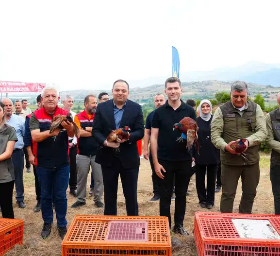 Erbaa'da kene avcıları doğaya salındı