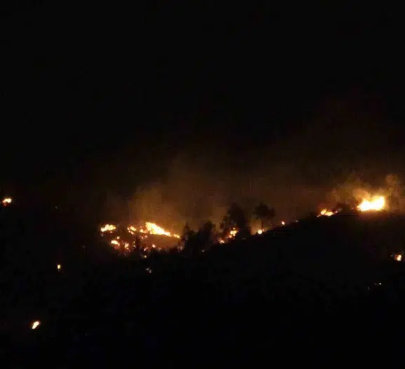Çanakkale Ezine’de orman yangını kontrol altına alınıyor