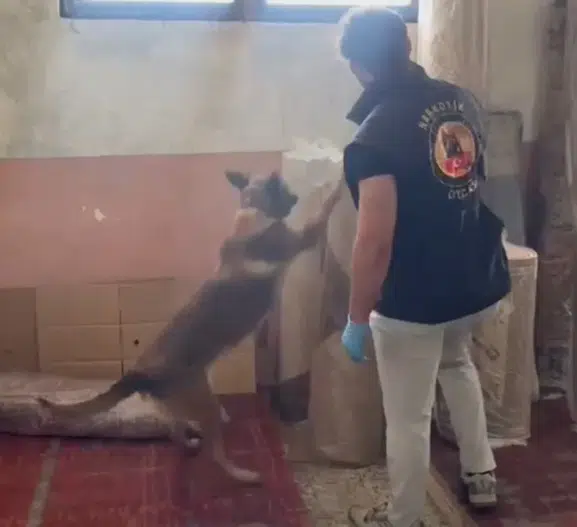 Kastamonu merkezli uyuşturucu operasyonunda 5 kişi cezaevine gönderildi