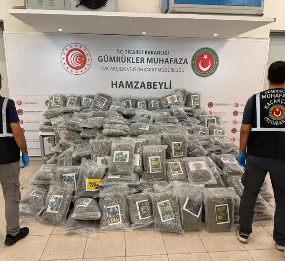 TIR'ın gizli bölmesinden 288 kilo esrar çıktı