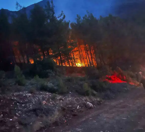 Alanya ormanlarında gece yarısı korkutan yangın