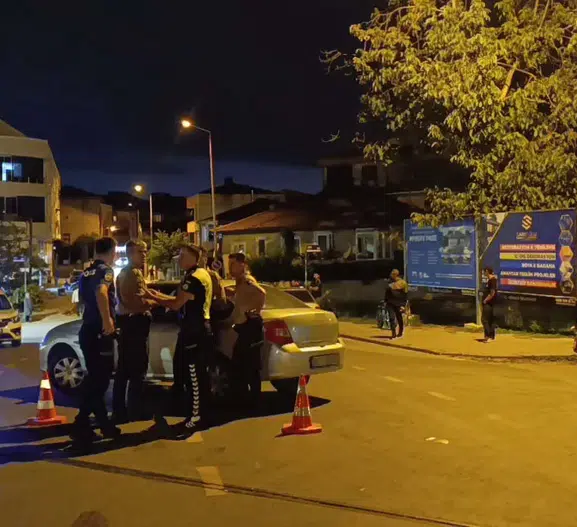 Sakarya Hendek'te bir can daha yollarda yitip gitti