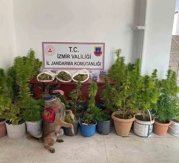 İzmir’de üç ilçeye uyuşturucu baskını