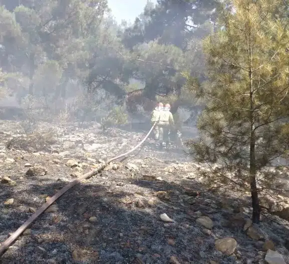 Bekilli orman yangını büyümeden söndürüldü