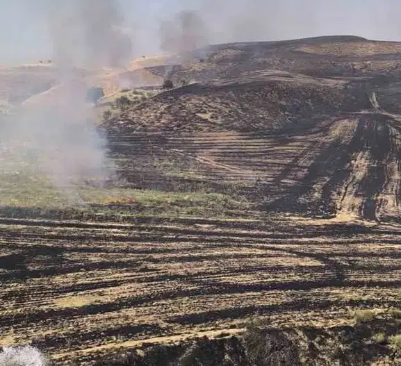 Siirt’te kontrolsüz anız ateşi 100 meyve ağacını küle çevirdi