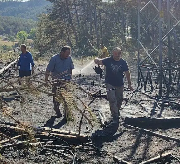 Küçük bir kuşun trajik sonu ormanı küle çeviriyordu