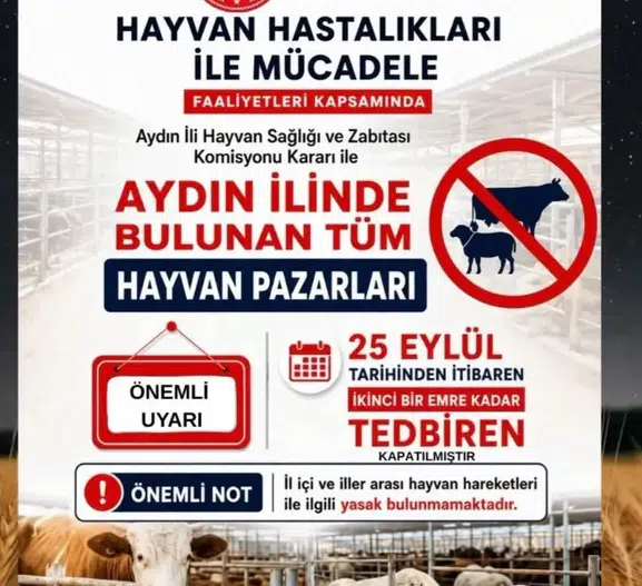 Aydın'da hayvancılık sektöründe kritik karar: Pazarlar süresiz kapatıldı