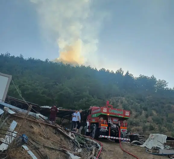 Hassa'da ormanlık alanda korkutan dumanlar: Ekipler zamanla yarıştı