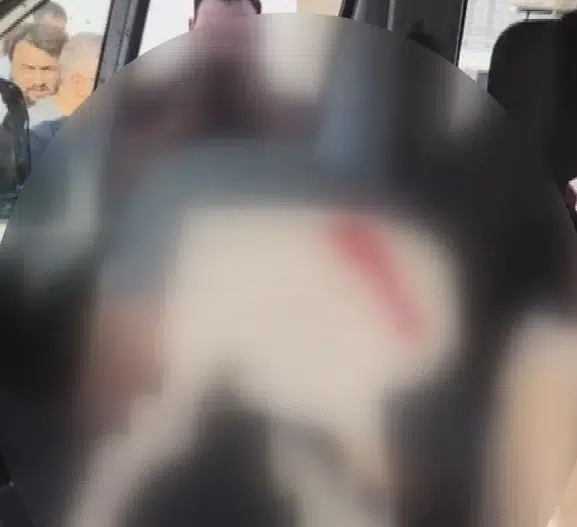 Arnavutköy'de mesai arkadaşları arasındaki tartışma kanlı bitti: Servis şoförü hayatını kaybetti