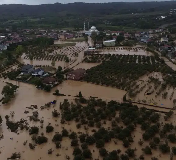 Sakarya'da sağanak kabusu: Tavuk çiftliğinde büyük kayıp ve okullara zorunlu ara